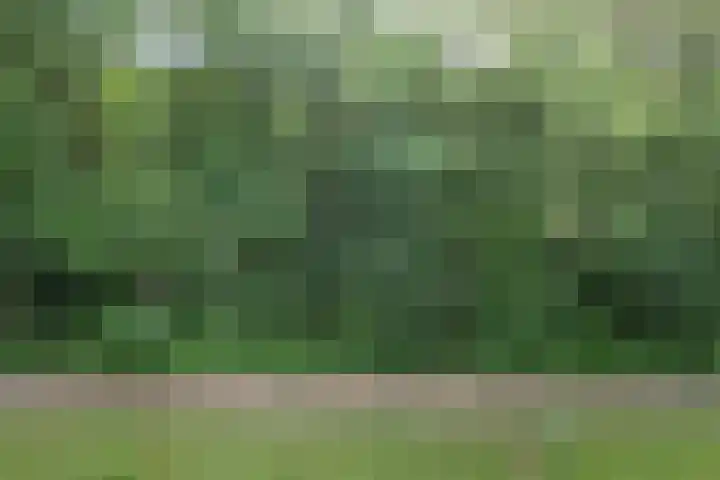 Beethovenlaan 241 Doorwerth thumbnail 16
