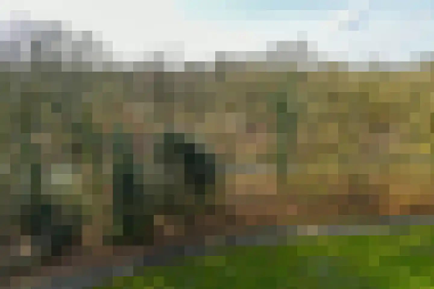 Beethovenlaan 267 Doorwerth thumbnail 24