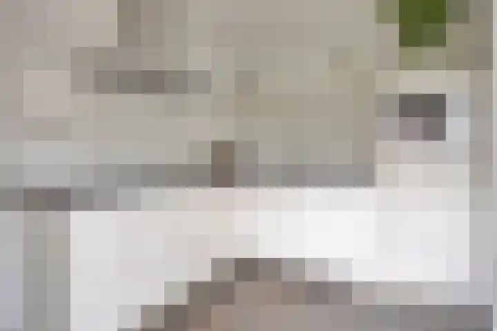 Beethovenlaan 31 Goes thumbnail 5