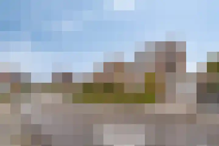 Beethovenlaan 31 Goes thumbnail 6