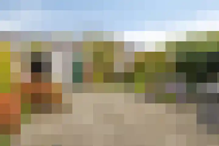 Beethovenlaan 313 Tilburg thumbnail 29