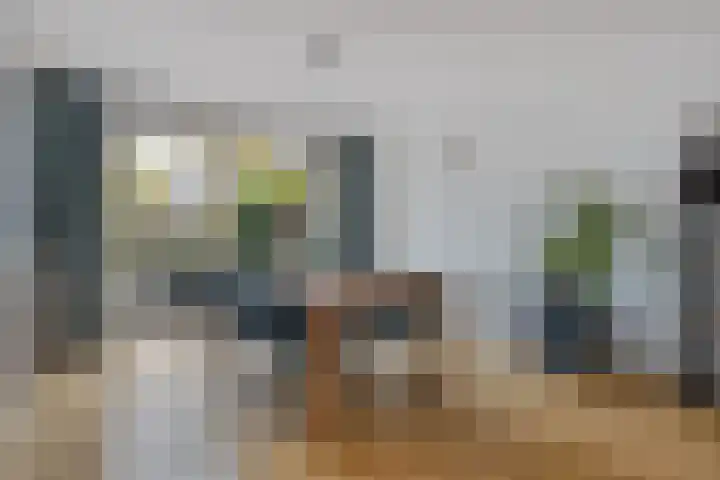 Beethovenlaan 313 Tilburg thumbnail 5