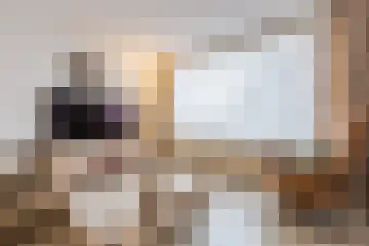 Beethovenlaan 319 Tilburg thumbnail 15