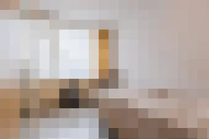 Beethovenlaan 319 Tilburg thumbnail 20