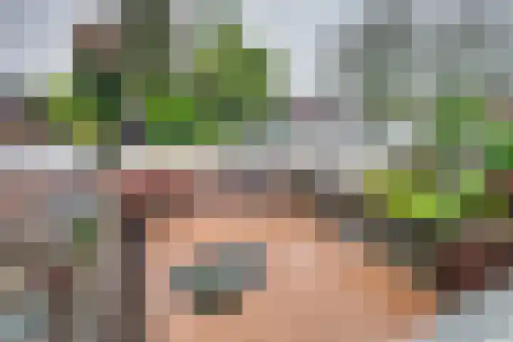 Beethovenlaan 321 Tilburg thumbnail 20