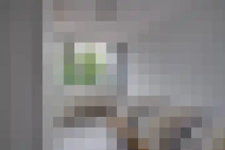 Beethovenlaan 321 Tilburg thumbnail 21