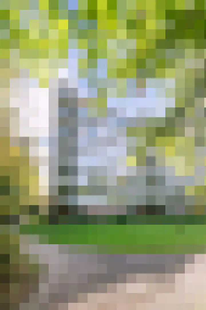 Beethovenlaan 373 Doorwerth thumbnail 31