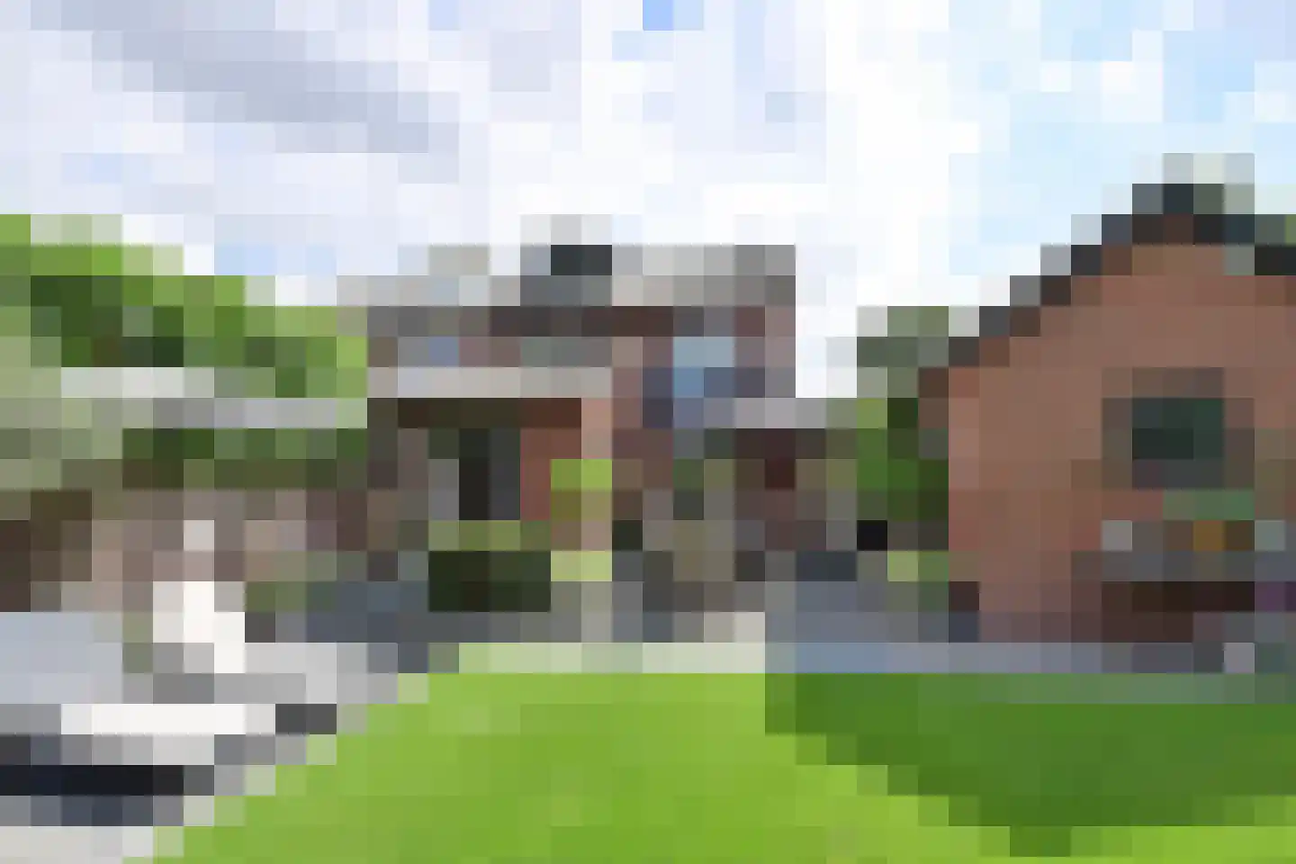 Beethovenlaan 4 Huizen