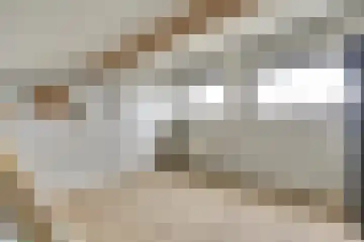 Beethovenlaan 51 Goes thumbnail 30