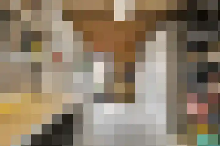 Beethovenlaan 51 Goes thumbnail 32