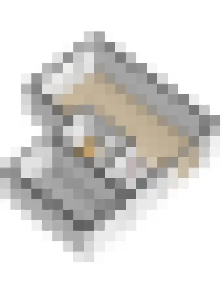 Beethovenlaan 51 Goes thumbnail 52