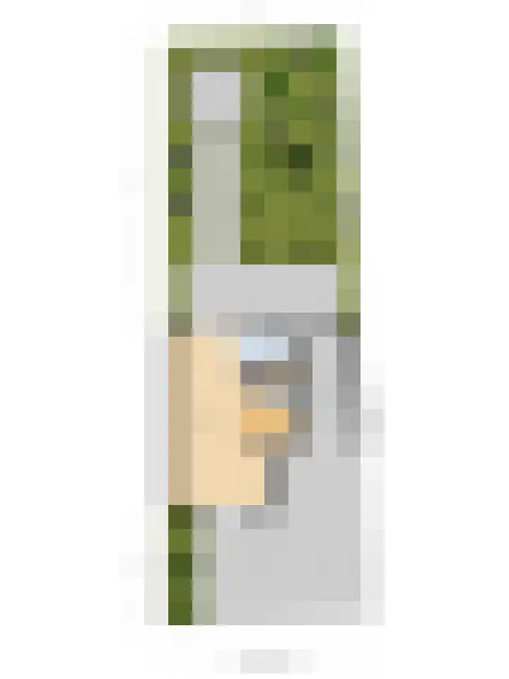 Beethovenlaan 51 Goes thumbnail 55