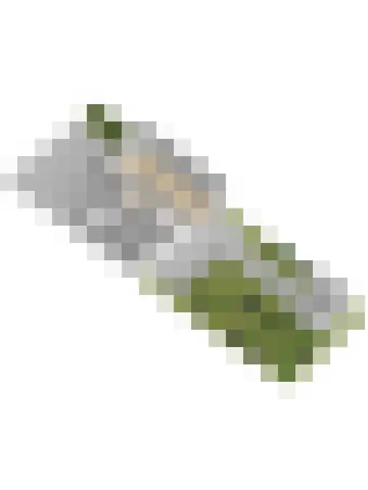 Beethovenlaan 51 Goes thumbnail 56