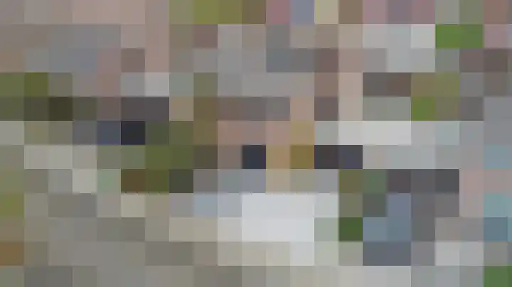 Beethovenlaan 51 Goes thumbnail 6