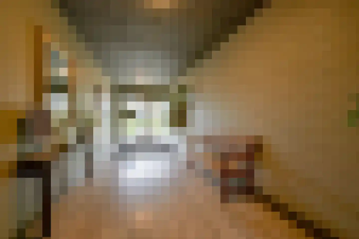 Beethovenlaan 6 G Schagen thumbnail 6