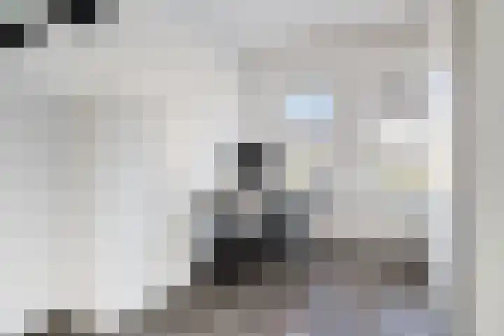 Beethovenlaan 68 Goes thumbnail 12
