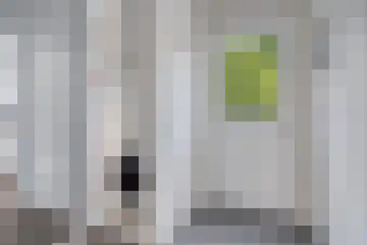 Beethovenlaan 68 Goes thumbnail 31