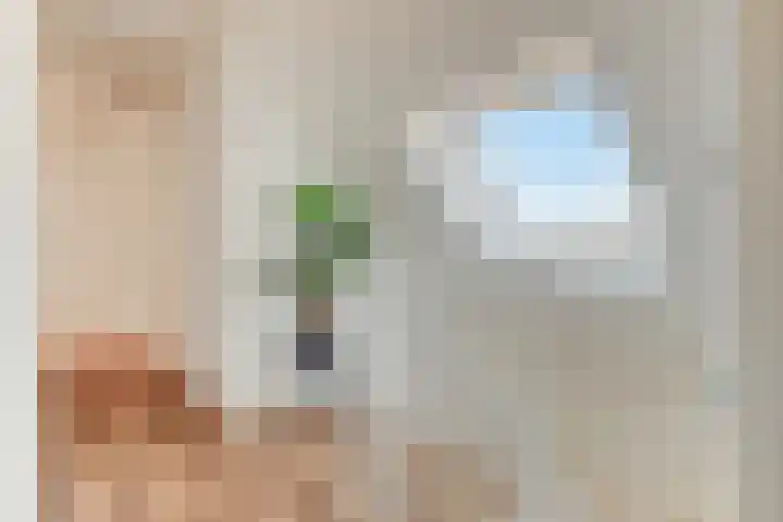 Beethovenlaan 68 Goes thumbnail 35