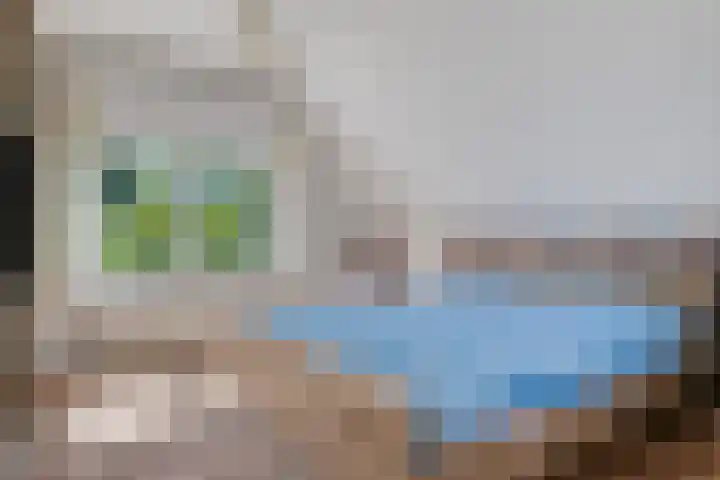 Beethovenlaan 68 Goes thumbnail 36