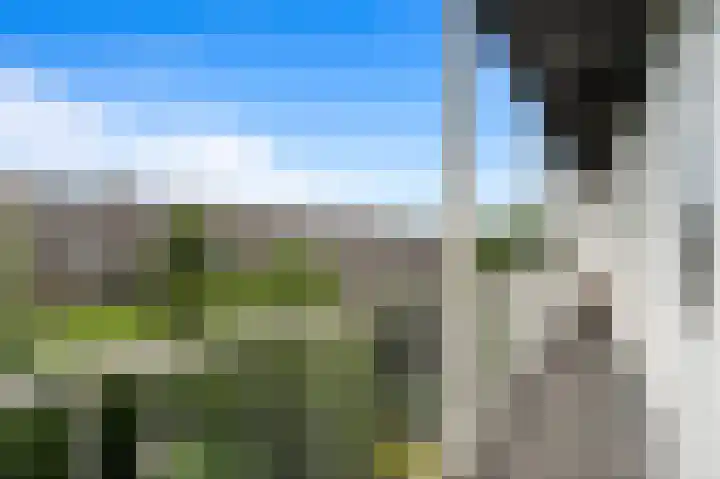 Beethovenlaan 68 Goes thumbnail 39