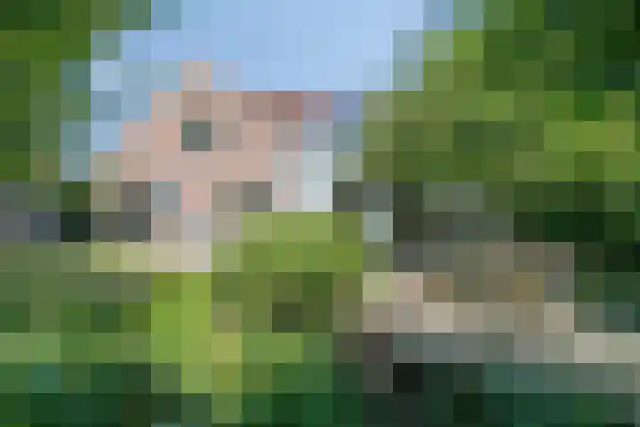 Beethovenlaan 68 Goes thumbnail 47