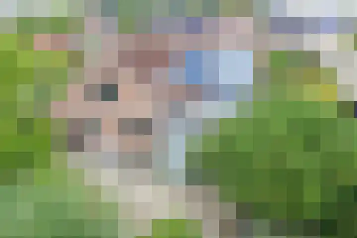 Beethovenlaan 68 Goes thumbnail 49