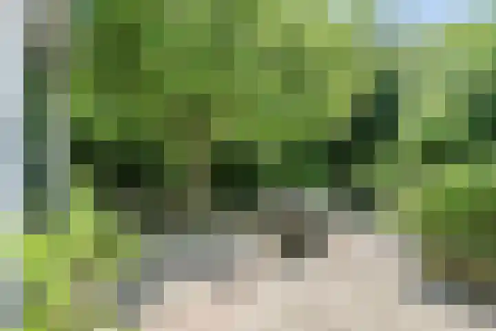 Beethovenlaan 68 Goes thumbnail 55