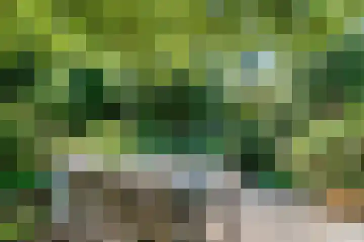 Beethovenlaan 68 Goes thumbnail 56