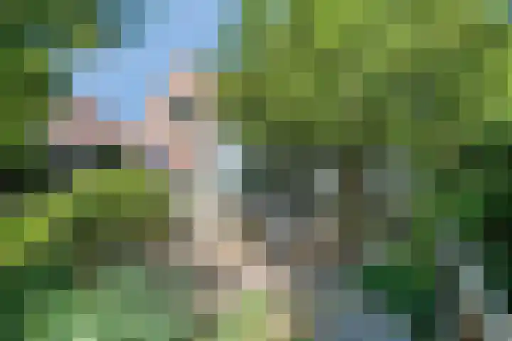 Beethovenlaan 68 Goes thumbnail 57