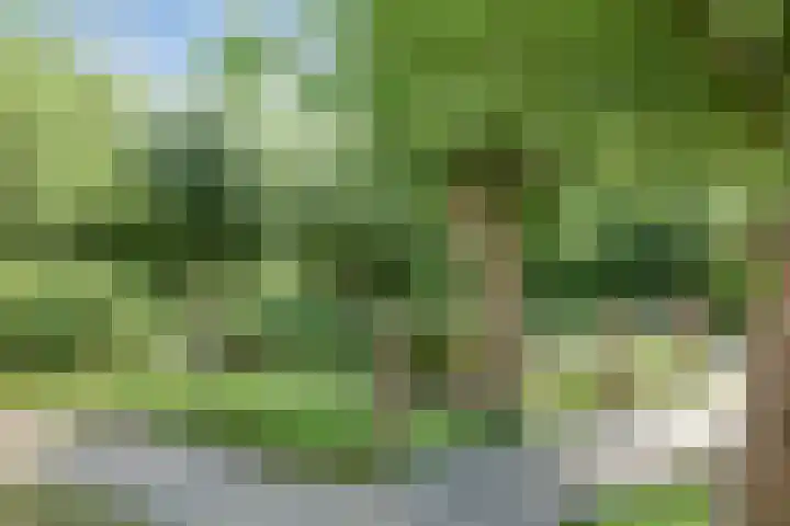 Beethovenlaan 68 Goes thumbnail 61