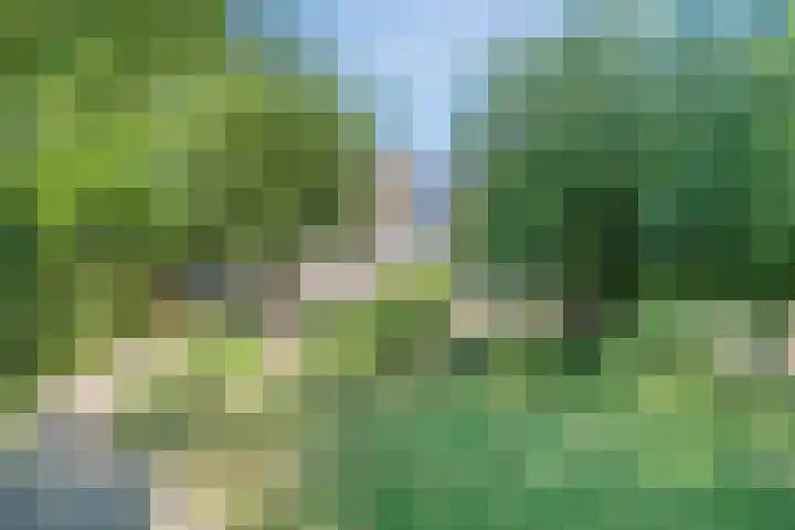 Beethovenlaan 68 Goes thumbnail 62