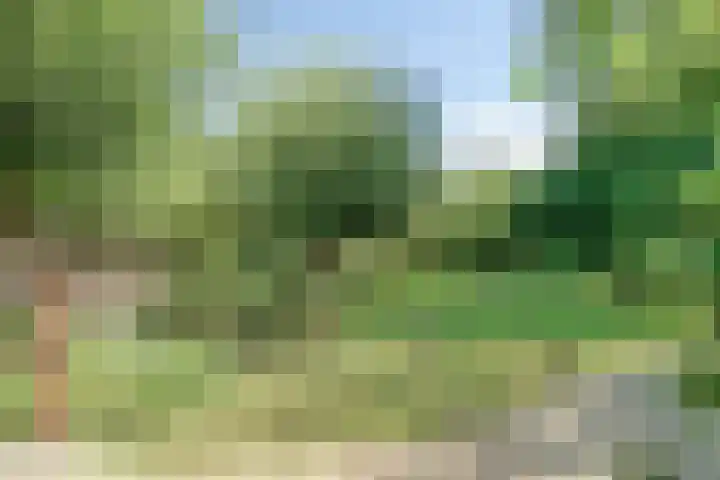 Beethovenlaan 68 Goes thumbnail 64