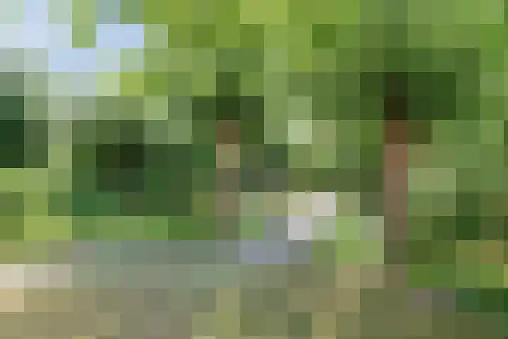 Beethovenlaan 68 Goes thumbnail 65