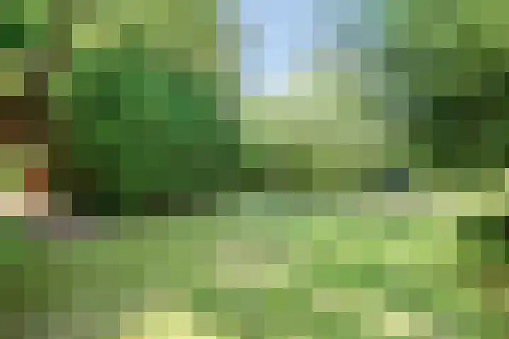 Beethovenlaan 68 Goes thumbnail 66