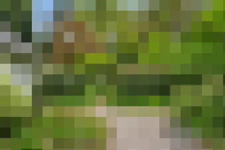 Beethovenlaan 68 Goes thumbnail 68