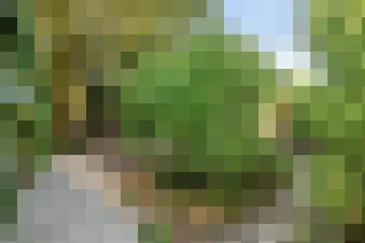 Beethovenlaan 68 Goes thumbnail 68