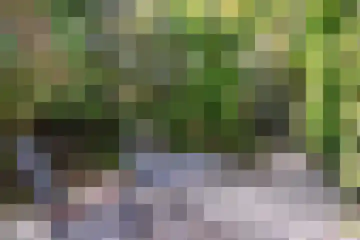 Beethovenlaan 68 Goes thumbnail 72