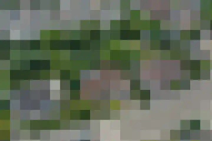 Beethovenlaan 68 Goes thumbnail 77