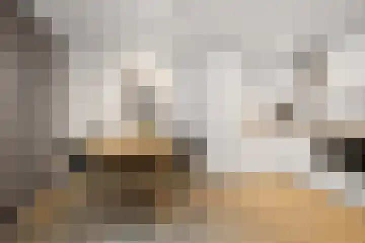 Beethovenlaan 70 Drunen thumbnail 10