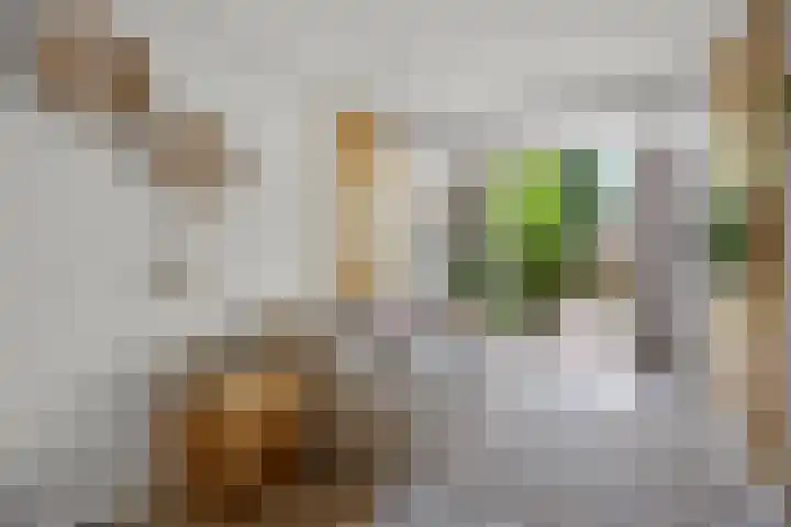 Beethovenlaan 70 Drunen thumbnail 11