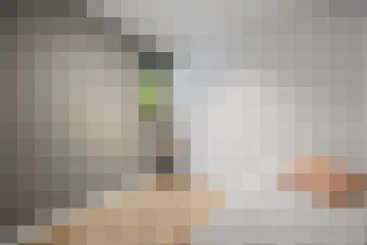 Beethovenlaan 70 Drunen thumbnail 14