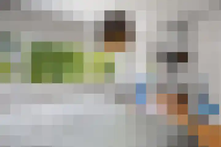 Beethovenlaan 70 Drunen thumbnail 25