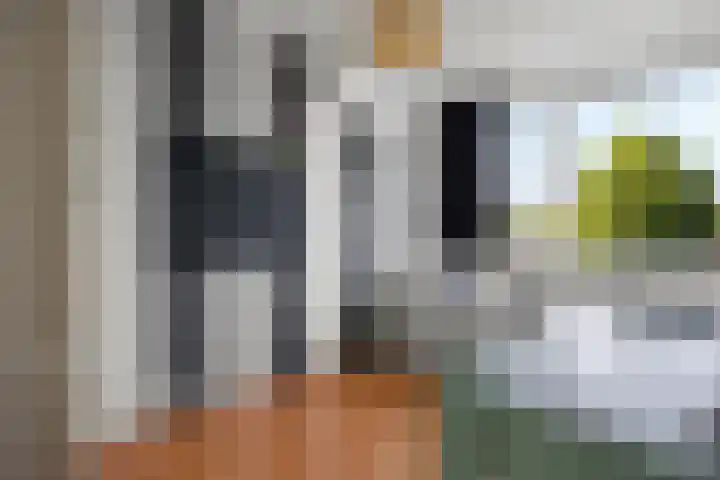 Beethovenlaan 70 Drunen thumbnail 27