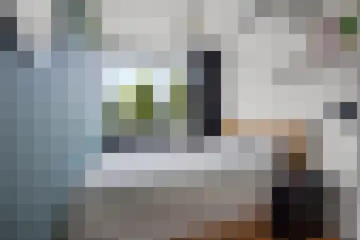 Beethovenlaan 70 Drunen thumbnail 28