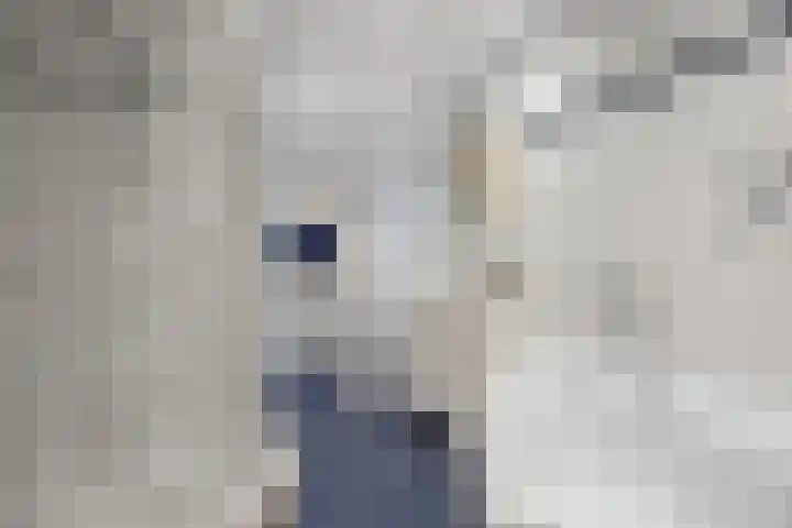 Beethovenlaan 70 Drunen thumbnail 30
