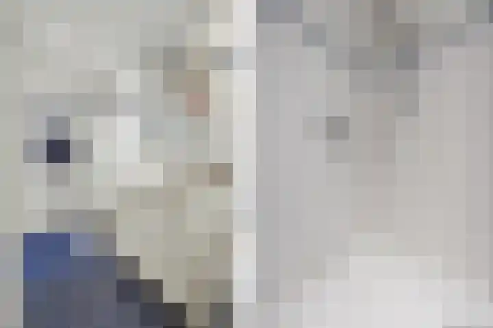Beethovenlaan 70 Drunen thumbnail 31