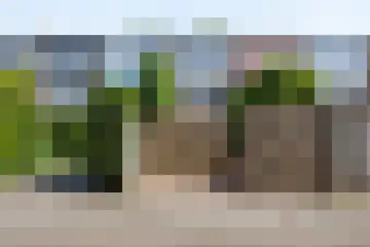 Beethovenlaan 70 Drunen thumbnail 38