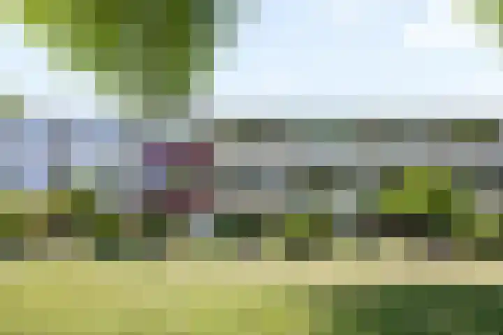 Beethovenlaan 70 Drunen thumbnail 41
