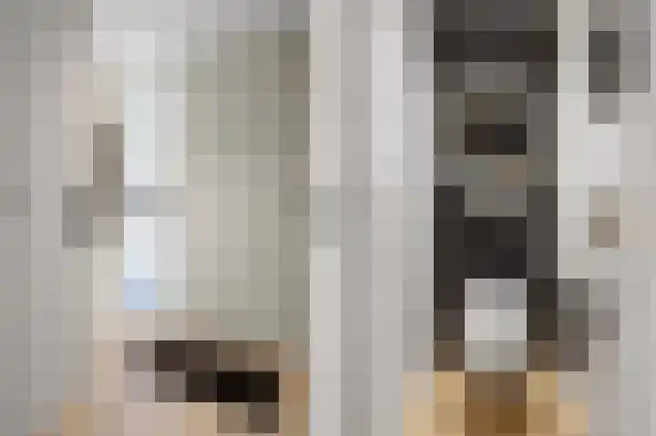 Beethovenlaan 70 Drunen thumbnail 7