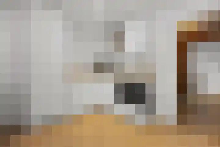 Beethovenlaan 70 Drunen thumbnail 8
